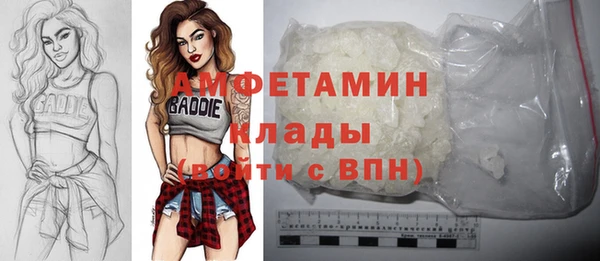 индика Алексин
