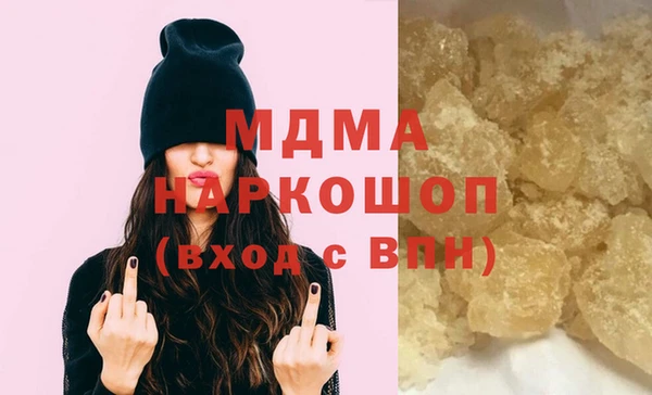 индика Алексин
