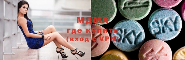 индика Алексин