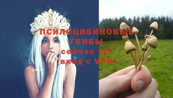 индика Алексин