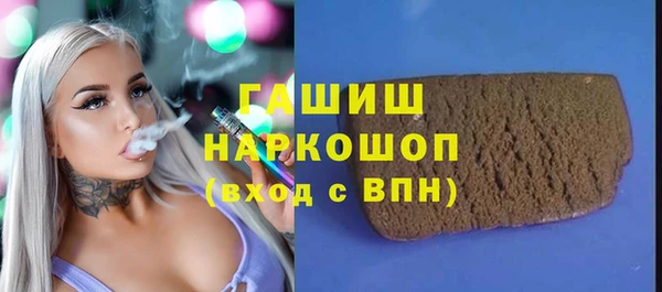 индика Алексин