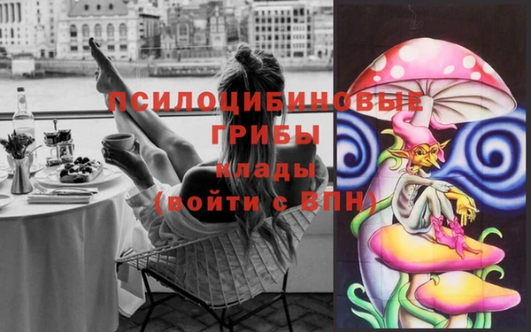индика Алексин