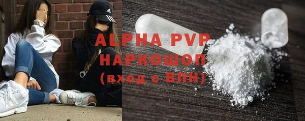индика Алексин