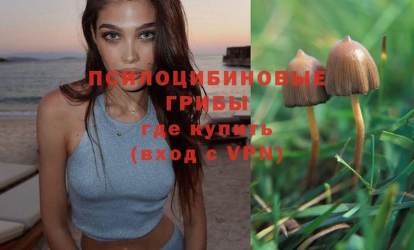 МДПВ Алексеевка