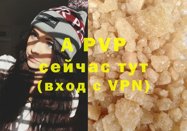 прущие грибы Гусь-Хрустальный
